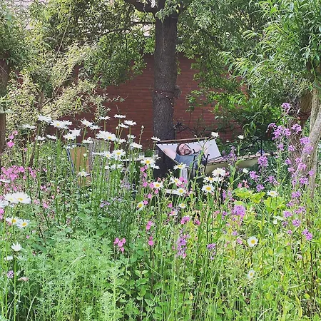 فيلة Haus An Der Elbe