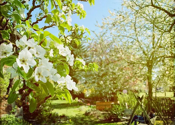 Haus An Der Elbe 别墅 Langendorf (Lower Saxony)